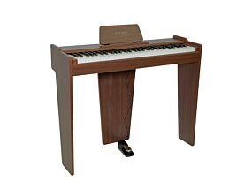 Hafnia DLM-61 E-Piano mit 61 gewichteten Tasten - B-Stock
