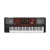Korg Pa700 Portable Keyboard