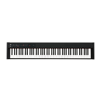 Korg D1 Schwarz E-Piano