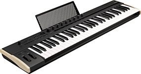 Korg Keystage 61