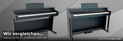 Wir vergleichen Hafnia HDP-110 & HDP-210