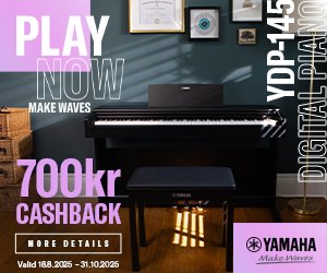 Yamaha YDP-145 Rosewood Package