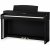 Kawai CN-301 Black Digital Piano