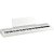 Korg B2+ White Digital Piano
