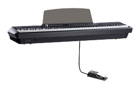 Pearl River P-200 Black - B-Stock