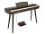 Sonora A Walnut Digital Piano
