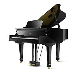 Roland GP-609 Black Digital Piano