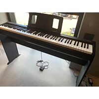 Roland FP-10 + Stativ (KSC-10) - (Demo)