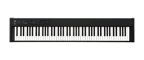 Korg D1 Stage Piano Sort