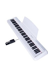 Pearl River P-60 Hvid - Det perfekte begynderinstrument