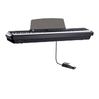 Pearl River P-200 Black - B-Stock