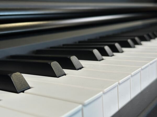 We compare CX-202, Hafnia HDP-210 and Yamaha YDP-166