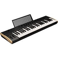 Korg Keystage 49