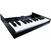Roland K-25m Keyboard Unit