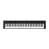 Korg D1 Stage Piano Black