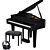 Roland GP-6 Polished Black Package