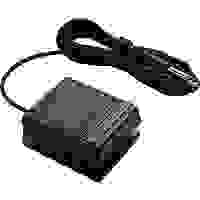 Roland DP-2 Pedal