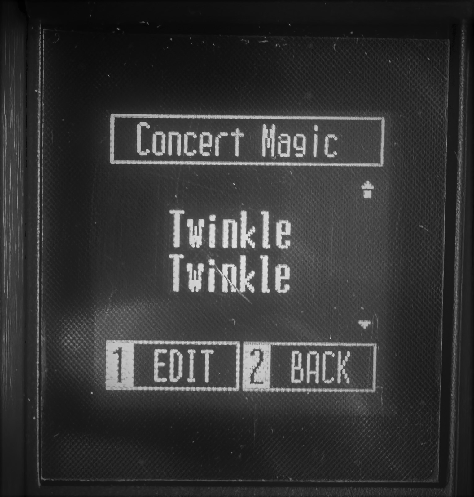 Concert Magic Function at the CA-401