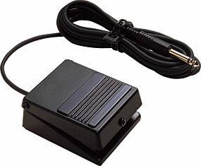 Roland DP-2 Pedal