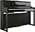 Roland LX-5 Blank Svart Digital Piano