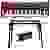 Nord Piano 6 73 Stand Bundle
