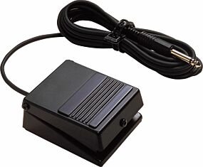 Roland DP-2 Pedal