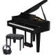 Roland GP-6 Blank Svart Paket